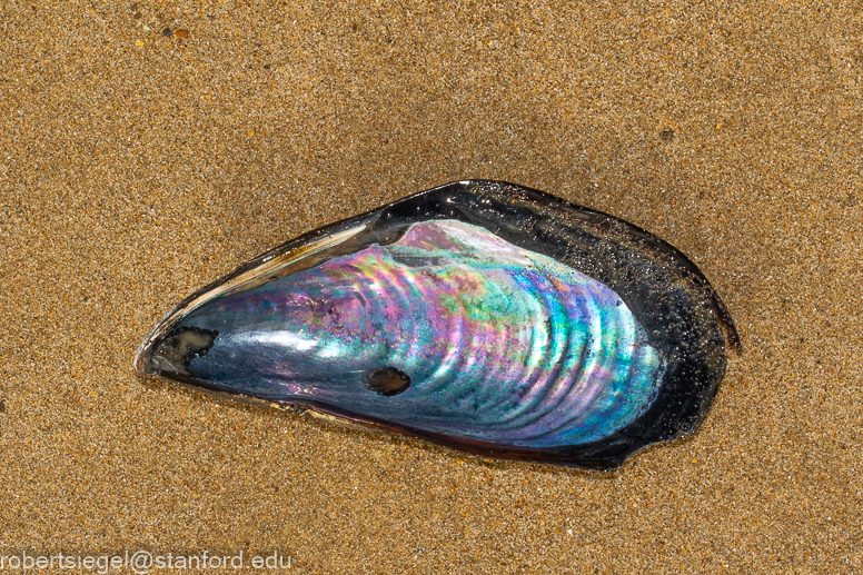 Gaviota State Park